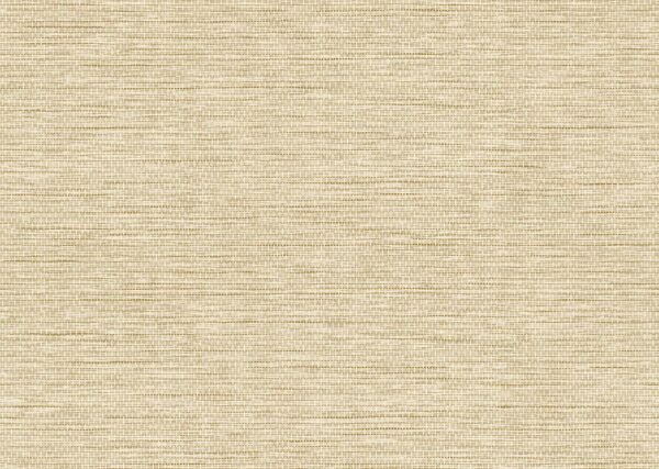 essentials-linvite-le-papier-tisse-60501-packshot