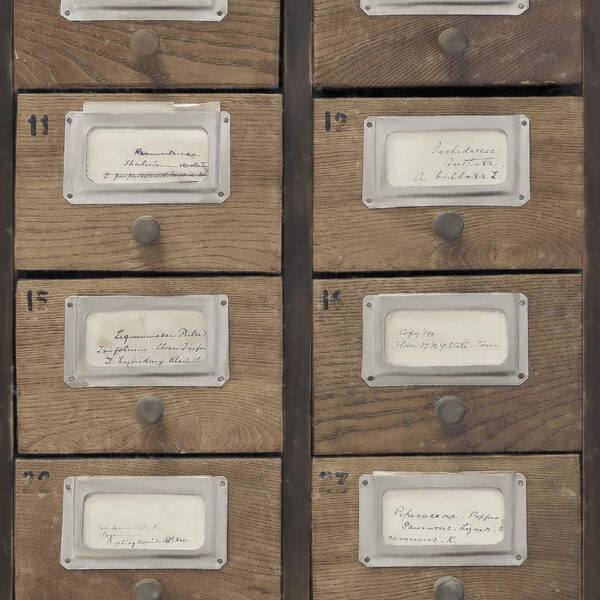 Apothecary Neutral 3 rolls